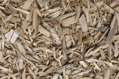 biomass boilers Firwood Fold